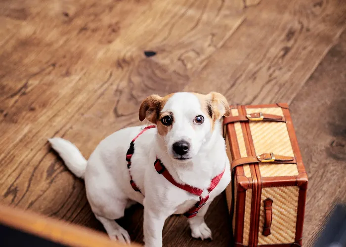 Daniel - Smart Lifestyle Near Centre Hotel